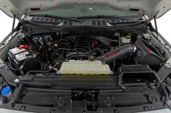 Rough Country Suspension Systems - Rough Country Performance Cold Air Intake 21-25 F150 5.0L 10473 - Image 3