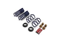 Ford Performance Parts - Ford Performance M-5300-S65T Lowering Spring Kit - Image 125