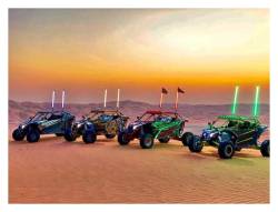 Buggy Whip - Buggy Whip 2' LED Bright Whip Light-Teal Quick Release BWBRTLED2TQ - Image 4