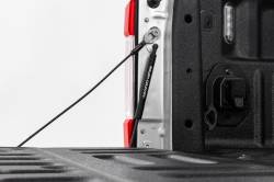 Rough Country Suspension Systems - Rough Country Tailgate Assist Strut Kit 15-24 F150/17-24 Super Duty 73222 - Image 1