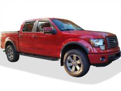 APS - APS A-Series Running Boards Black 09-14 Ford F150 Crew WB06AAG7M - Image 2
