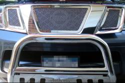 APS - APS Wire Mesh Grille-Polish for 05-08 Nissan Frontier GR14GFE05T - Image 1