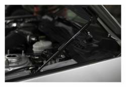 Roush Performance - Roush Performance 422043 Hood Lift Support Strut Kit for 15-23 Ford Mustang - Image 2