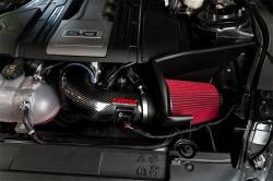 Corsa Performance - Corsa Performance 44006D Drytech 3D Open Element Air Intake for 18-23 Mustang - Image 2