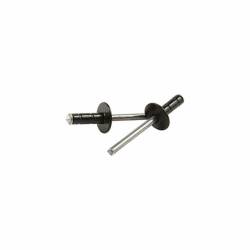 Allstar Performance - Allstar Performance ALL18091 3/16" Multi-Grip Rivet Medium Head Black - Image 1