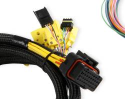 Holley EFI - Holley EFI 554-186 Exhaust Gas Temperature EGT Sensor - Image 2