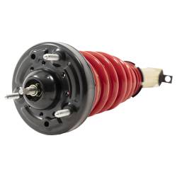 Belltech - Belltech 15007 0-3" Front Coilover Lowering Kit for 21+ Ford F150 - Image 102