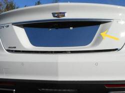 Quality Automotive Accessories - QAA LP60235 1Pc Stainless License Plate Bezel for 2020-2025 Cadillac CT5 - Image 1