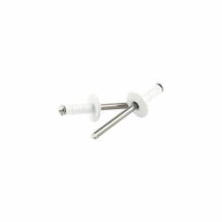 Allstar Performance - Allstar Performance ALL18092 3/16" Multi-Grip Rivet Medium Head White - Image 1