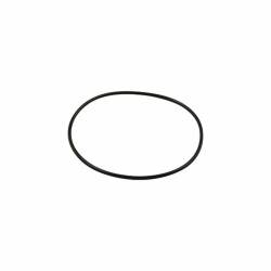 Allstar Performance - Allstar Performance ALL26084 Replacement O-Ring for Air Cleaner Spacers - Image 1