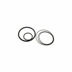 Allstar Performance - Allstar Performance ALL64222 O-Ring Kit for ALL64220 - Image 1