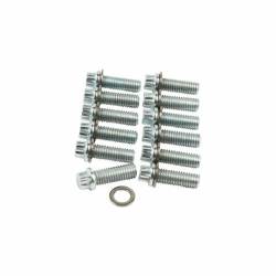 Allstar Performance - Allstar ALL87010 Intake Bolt Kit SB 12-Point - Image 1