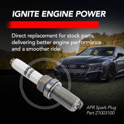 APR Z1003100 Iridium Pro Spark Plugs
