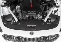 Stillen - Stillen 402883DF Hi-Flow Air Intake Kit for 18-22 Kia Stinger AWD/RWD 3.3TT - Image 2