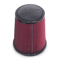 Banks Power - Banks Power 42259 Air Filter - Image 1