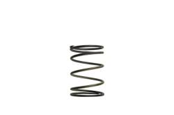 Turbosmart - Turbosmart TS-0502-2003 WG50 & WG60 Spring - Image 1