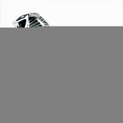 Ford Performance Parts - Ford Performance M-1447-C 07-14 Mustang Shelby SVT 'Cobra' Snake Fender Emblems - Image 1