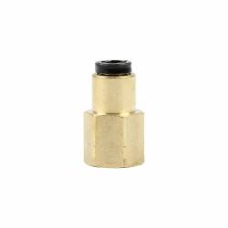 Allstar Performance - Allstar Performance ALL48021 1/8" NPT Female To Push Lock Hose - Image 1