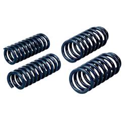 Hotchkis Performance - Hotchkis 19104 Front/Rear Performance Coil Spring Set for 06-09 Dodge Charger - Image 1