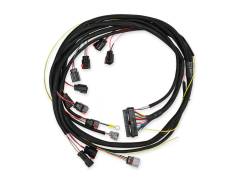 MSD - MSD Ignition 88863 6-Hemi Ignition Harness for 03-05 Dodge 345-392 - Image 2