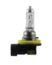 Hella - HELLA H11P50 Multi-Purpose +50 Performance Bulb 12V 55W - Image 1