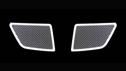 APS - APS Wire Mesh Grille-Polish 08-09 Pontiac G8 GR16GGB14T - Image 2