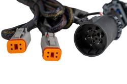 Diode Dynamics - Diode Dynamics DD4136 Stage Series 7pin Trailer Wiring Harness for C1R Lights - Image 2