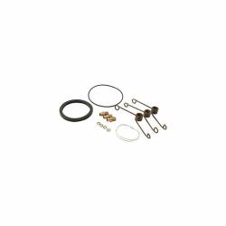 Allstar Performance - Allstar Performance ALL99028 Seal Kit for ALL40213 - Image 1