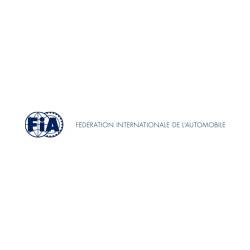 Racequip - RaceQuip 851001RQP FIA 6 Point Camlock Harness Black 3" Shoulders FIA 8853-2016 - Image 3