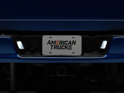 Raxiom - Raxiom R109176 Axial Series LED License Plate Lamps - Image 2