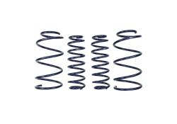 Ford Performance Parts - Ford Performance M-5300-RA 13 Cobra Jet Spring Kit - Image 101