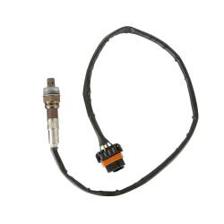 Holley EFI - Holley EFI 550-605N HP EFI ECU & Harness Kits - Image 2