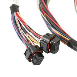 Holley EFI - Holley EFI 550-605N HP EFI ECU & Harness Kits - Image 3