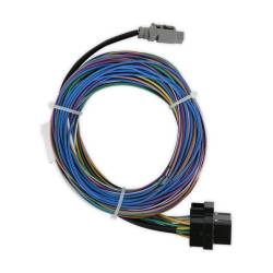 Racepak - Racepak 280-CA-IQ3S Data Logging Unit Wiring Harness - Image 5