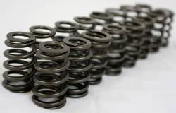 GSC Power-Division - GSC Power Division 5039 Single Beehive Spring Kit Set for Evo 8/9 - Image 1