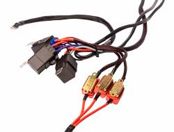 Aeromotive Fuel System - Aeromotive Fuel System 16313 Fuel Pump Wiring Harness - Image 2