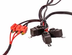 Aeromotive Fuel System - Aeromotive Fuel System 16313 Fuel Pump Wiring Harness - Image 3