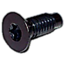 Crown Automotive Jeep Replacement - Crown Automotive 6035757 Windshield Hinges Torx Screw Kit for 97-06 Wrangler TJ - Image 2