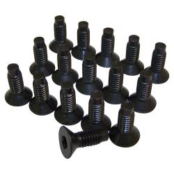 Crown Automotive Jeep Replacement - Crown Automotive 6035757K Windshield Hinge Torx Screw Kit - Image 1