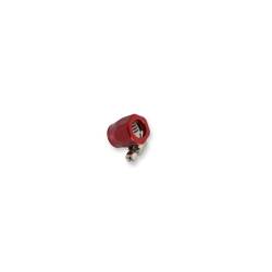 Earl's Performance - Earl's Performance 900106ERL Econ-O-Fit Hose Clamp - Image 3