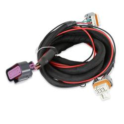 MSD - MSD Ignition 6014CT Ignition Control for 97-05 Camaro/Corvette CTS Firebird GTO - Image 10