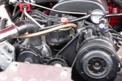 Holley EFI - Holley EFI 565-202BK Ford Small Block Ford Distributor - Image 1