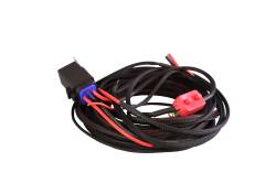Aeromotive Fuel System - Aeromotive Fuel System 16307 Fuel Pump Wiring Harness - Image 3