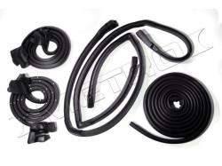 Metro Moulded Parts - Metro Moulded RKB 1900-107 Basic Body Seal Kit - Image 1