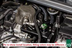 RADIUM Engineering - RADIUM Engineering 20-0357-FL Catch Can Kit CRANKCASE 15-18 Focus ST Fluid Lock - Image 2