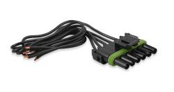 Holley EFI - Holley EFI 534-39 Fuel Tank - Image 3
