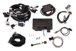 Holley EFI - Holley EFI 550-909 Car GM GM LS 294 325 346 364 376 427 Fuel Injection System - Image 2
