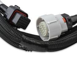 Holley EFI - Holley EFI 550-916 Car GM GM LS 294 325 346 364 376 427 Fuel Injection System - Image 9