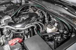 RADIUM Engineering - RADIUM Engineering 20-0840-FL Dual Catch Can Kit for 05-23 Tacoma Fluid Lock - Image 2