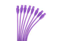 Taylor Cable - Taylor Cable 73155 8mm Spiro-Pro Spark Plug Wire Set Purple 180-DEG Universal - Image 3